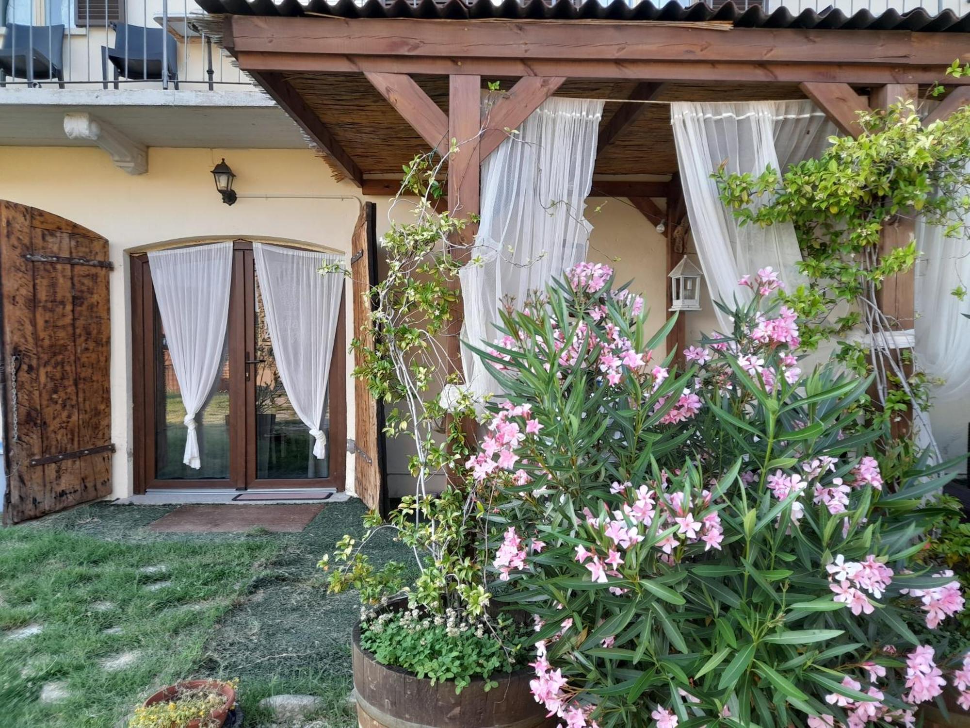Madama Langa Country House Con Piscina Nelle Vigne 몬테루포알비즈 외부 사진